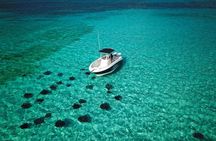 Half Day Private Boat Charter in Grand Cayman
