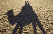 Paradise Valley and Camel Ride at Sunset Pass