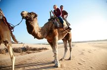 Paradise Valley and Camel Ride at Sunset Pass