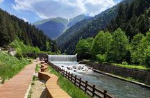 Uzungol Tour: Full-Day Nature Adventure with Tea Factory Visit