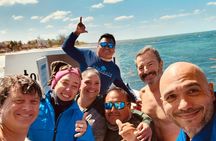 2 Tank Morning Dive: Scuba Diving in Cozumel