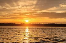 Private Dolphin Boat Tour in Hilton Head Island