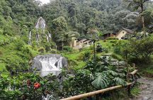 Santa Rosa de Cabal and Hot Springs Day Trip