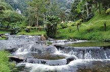 Santa Rosa de Cabal and Hot Springs Day Trip