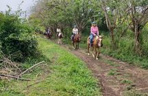 3 Hours Horseback Riding from Nature Trails to Sofa Stone