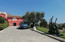 Provence Organic Wine Small Group Half Day Tour with Tastings from Nice