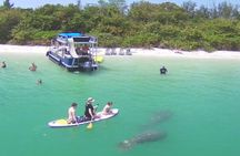 Private Siesta Funship Adventure/Dolphin Cruise Sandbar Stops 