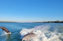 Private Siesta Funship Adventure/Dolphin Cruise Sandbar Stops 