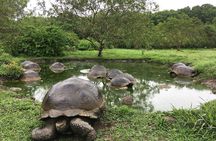  7-Day Galapagos Island Hopping Tour: Tortuga Bay, Tintoreras, Wildlife Watching