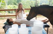 Spirit of the Horse Unique Experiences with Horses