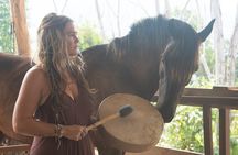 Spirit of the Horse Unique Experiences with Horses