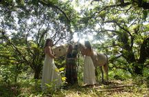 Spirit of the Horse Unique Experiences with Horses