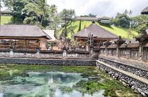 Bali Sightseeing Tour - Traditional village - Waterfall