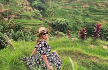 Bali Sightseeing Tour - Traditional village - Waterfall