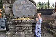 Bali Sightseeing Tour - Traditional village - Waterfall
