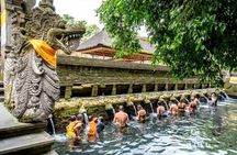 Bali Sightseeing Tour - Traditional village - Waterfall