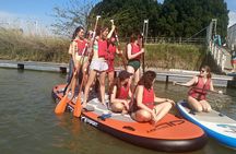 Gigant paddle surf in Seville