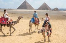 Private Guided Tour to Giza pyramids, Sphinx and Saqqara + Lunch