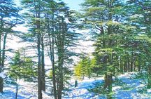 Jebran Museum, Becharre Cedars and Monastery of St. Antonio Qozhaya
