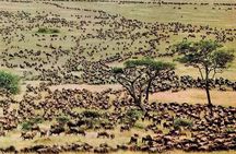 3 Days Masai Mara Safari