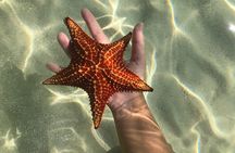 Half Day Private Boat Charter in Grand Cayman