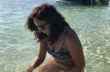 Grand Cayman Private Charter Stingray City, Snorkeling & Starfish
