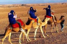  magical dinner camel ride &Quade biking and sunset