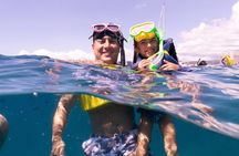 Waikiki Green Sea Turtle Snorkeling Tour - Boat Excursion