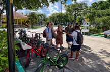 Cozumel: City Tour by E-bike