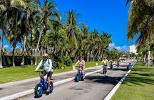 E-bike West Coast Snorkeling Tour