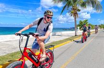 E-bike West Coast Snorkeling Tour