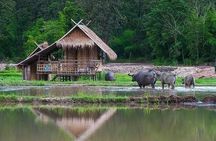"No.1 Chiang Mai: Leisure Bicycle Ride to Lake Huay Tueng Tao"