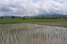 "No.1 Chiang Mai: Leisure Bicycle Ride to Lake Huay Tueng Tao"