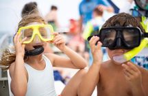 Private Charter: Shell Island Snorkeling & Dolphin Adventure