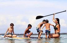 Private Charter: Shell Island Snorkeling & Dolphin Adventure