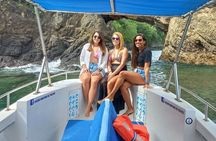 Isla Tortuga Full Day Tour Small group from San José