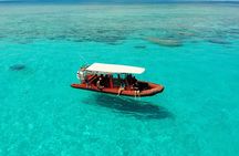 Full Day Nouméa Signal Island Turtle Tour 