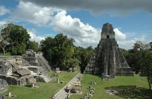 Tikal Maya Temple tour from San Ignacio with sit down lunch
