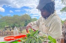 Victoria Falls Zimbabwe - Batoka Gorge Hike and Bush Picnic