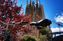 Bike and Sailing Tour in Barcelona 