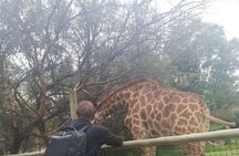 11 days South Africa tour(good for group) 