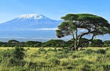 3 Days All Inclusive Zanzibar to Tarangire Ngorongoro