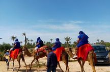 Camel Ride in Marrakesh's Palm Grove