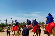 Camel Ride in Marrakesh's Palm Grove