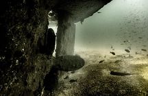 Private Tour Wreck Diving | 5 Divers | Cabo to La Paz 