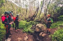 Canyoning with Waterfalls in the Rainforest - Small Groups ツ