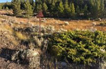 3-Hour E-Bike Tour of Trail of the Silver Kings (Old Mine Tour)