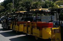Full-Day Tour in Key West from Miami with Add-on extras