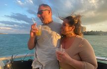 Miami 75 Min Boat Tour Biscayne Bay and Celebrity Homes Island
