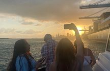 Miami 75 Min Boat Tour Biscayne Bay and Celebrity Homes Island